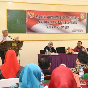 Wagub Mawardi : Sabut dan Batang Kelapa Jangan Sampai Mubazir