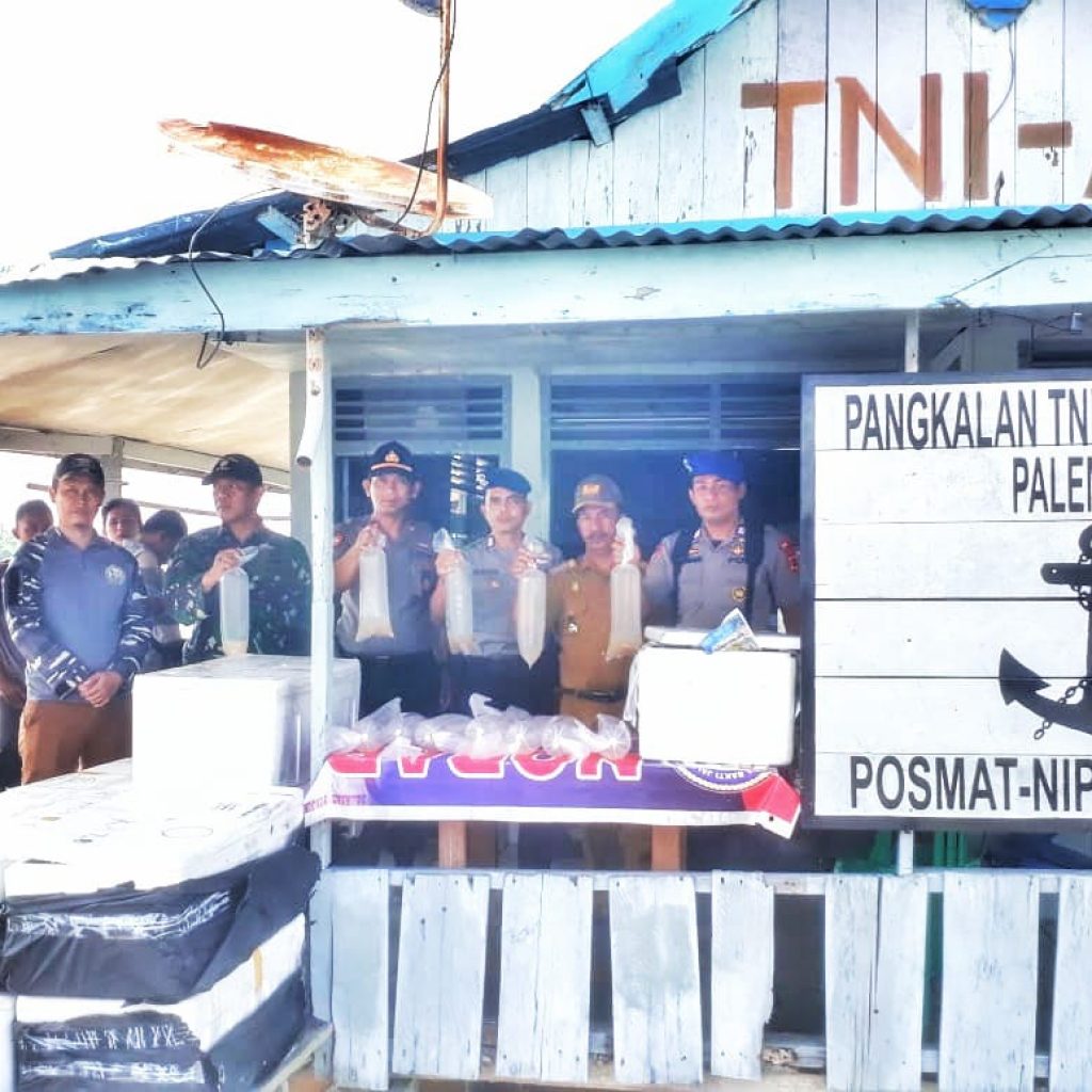 TNI AL Amankan 20 Ribu Baby Lobster Diperairan Jambi Palembang