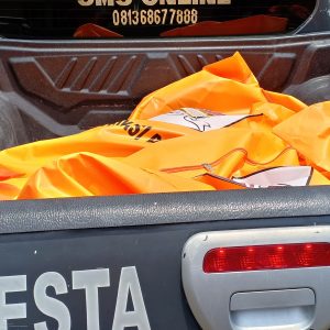 Diduga Bunuh Anak Terlebih dahulu, Ibu Bunuh diri Setelah Membunuh