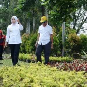 Wawako Palembang Tinjau Pembuatan Taman Jalan