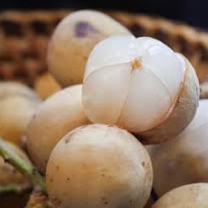 Yuk, Intip Manfaat Mengejutkan Buah Duku untuk Kesehatan