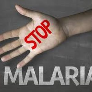 Kenali Malaria Dan Gejala Nya