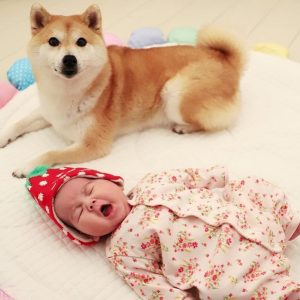 Selamatkan Bayi,Ping Pong Dianggap Pahlawan