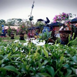 Taman Toga Mangun Jaya Jadi Tempat Tujuan Peserta Peda KTNA 2019