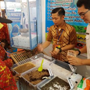 Musnahkan Sampah Organik, DLH Muba Kembang Biak Lalat Tentara Hitam