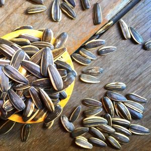 8 Manfaat Makan Kuaci Untuk Tubuh Kita