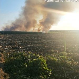 9 Titik Panas Terpantau di Sumsel