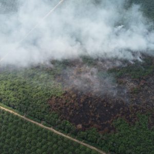 Pemadaman Kebakaran Lahan di Pali,  Disulitkan Tebalnya Gambut