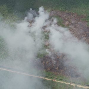 Kebakaran Hutan di Sumsel Kini Semakin Meluas