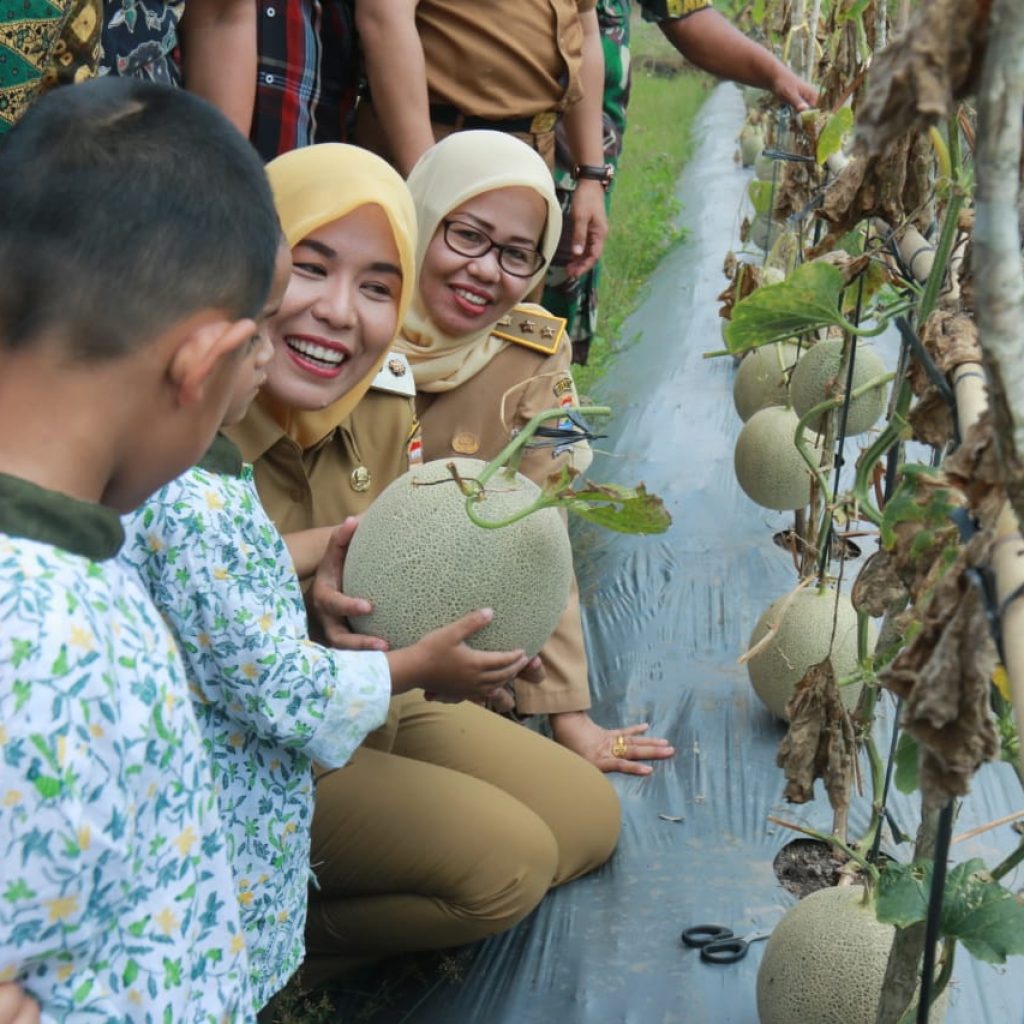 Fitrianti Himbau Kelurahan Untuk Manfaatkan Lahan Tidur Untuk Masyarakat Sekitar