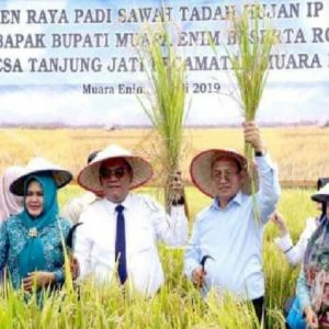 Bupati Muara Enim Ikuti Panen Raya Di Desa Tanjung Jati