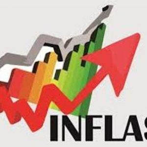 Cabai Merah dan Daging Ayam Menjadi Penyumbang Inflasi di Sumsel