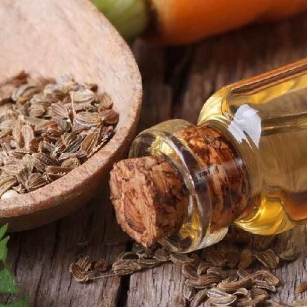 4 Manfaat Kesehatan Tersembunyi dari Biji Seledri