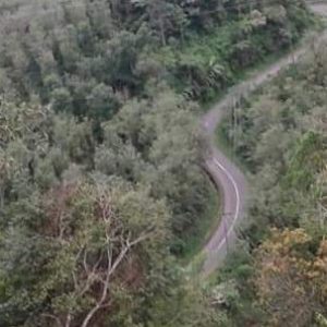FRABAM Temukan Proyek Jalan di Kawasan Hutan Lindung Bukit Barisan Tanjung Sakti