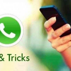 Tips Teknologi: Cara Mudah Simpan Status WhatsApp Teman Anda