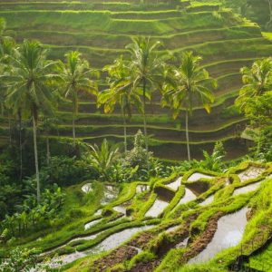 Tinggal di Provinsi Ini Bisa Bikin Panjang Umur