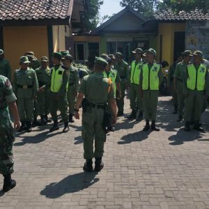 Wariskan Ilmu Kedisiplinan, Satgas TMMD Getol latih Linmas