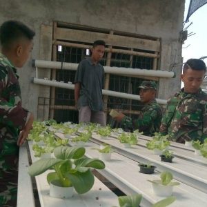 TNI Satgas TMMD Ajarkan Budidaya Tanaman Hidroponik