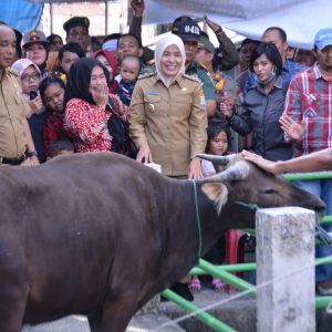 Fitrianti Agustinda Serahkan Hewan Kurban di Kelurahan 11 Ulu.