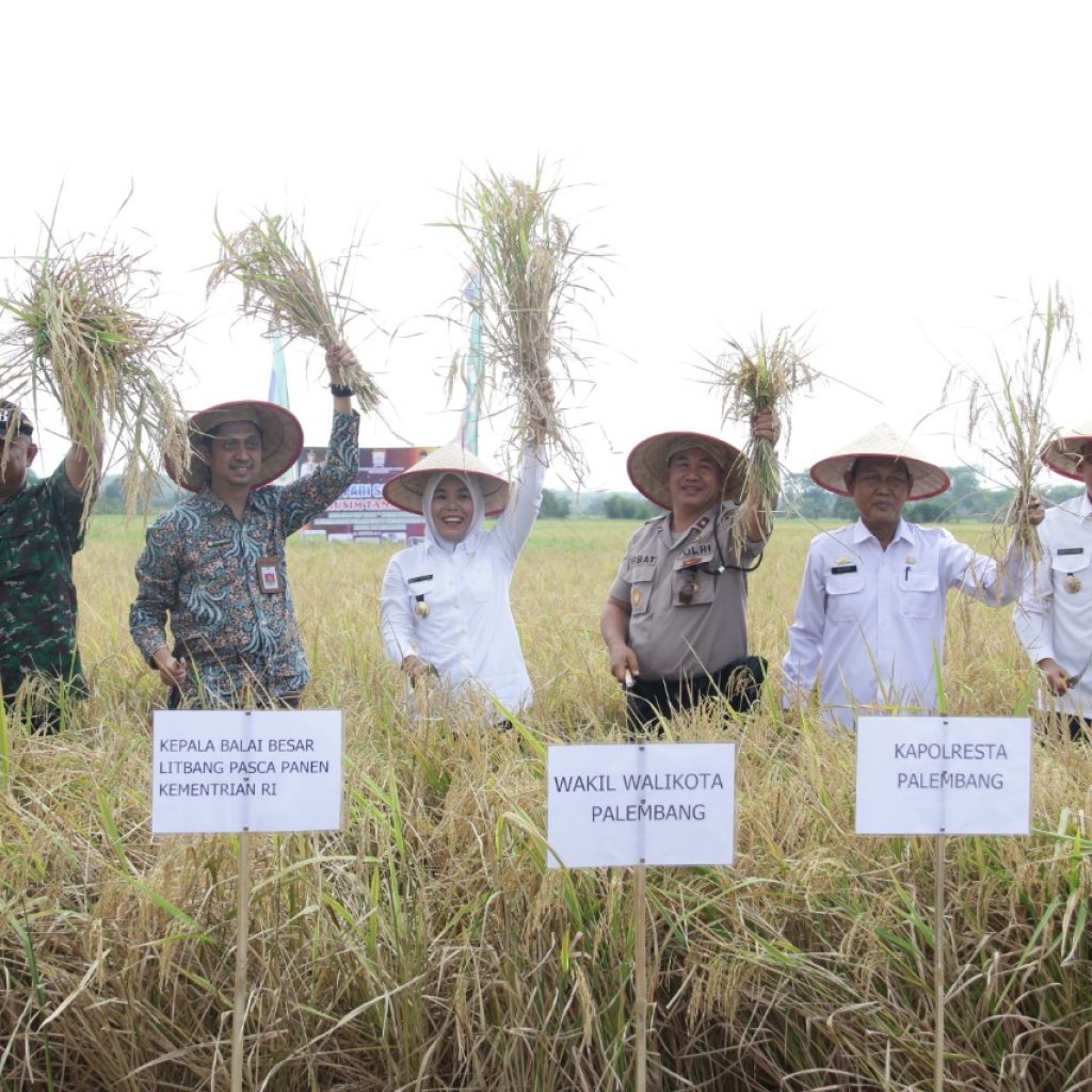 Pemkot Palembang Ingatkan, Lahan pertanian Jangan Dialihkan Sebagai Lahan Pembangunan