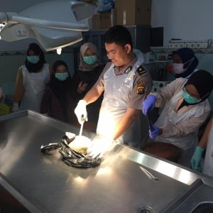 Warga Sungai Pancar Dihebohkan Penemuan Tengkorak Kepala Manusia