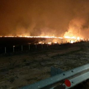 BPBD Sumsel Menduga Lahan OI Dibakar oleh Mantan Pejabat