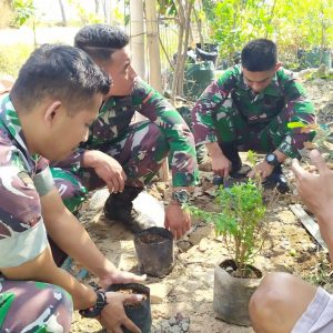Dipelopori TNI, Penghijauan di Desa Sasaran TMMD Menggeliat
