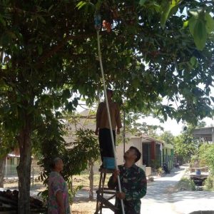 Akan Tinggalkan Kalikondang, Satgas TMMD Ini “Wariskan” Ilmu Petik Jambu