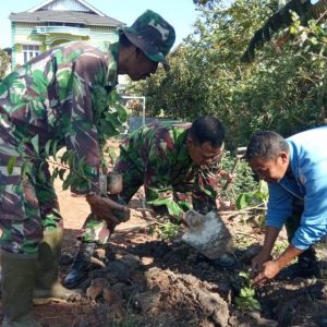 Masih Saja TNI Satgas TMMD Sempatkan Lakukan Penghijauan