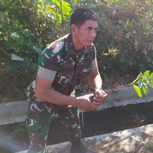 Sejumlah Satgas TMMD Kelak Ingin Melihat Pohon Hasil Tanamannya