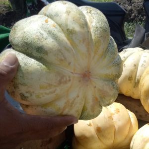 Pedagang Blewah Merasa Kehilangan Namun Tetap Ucapkan Terimakasih