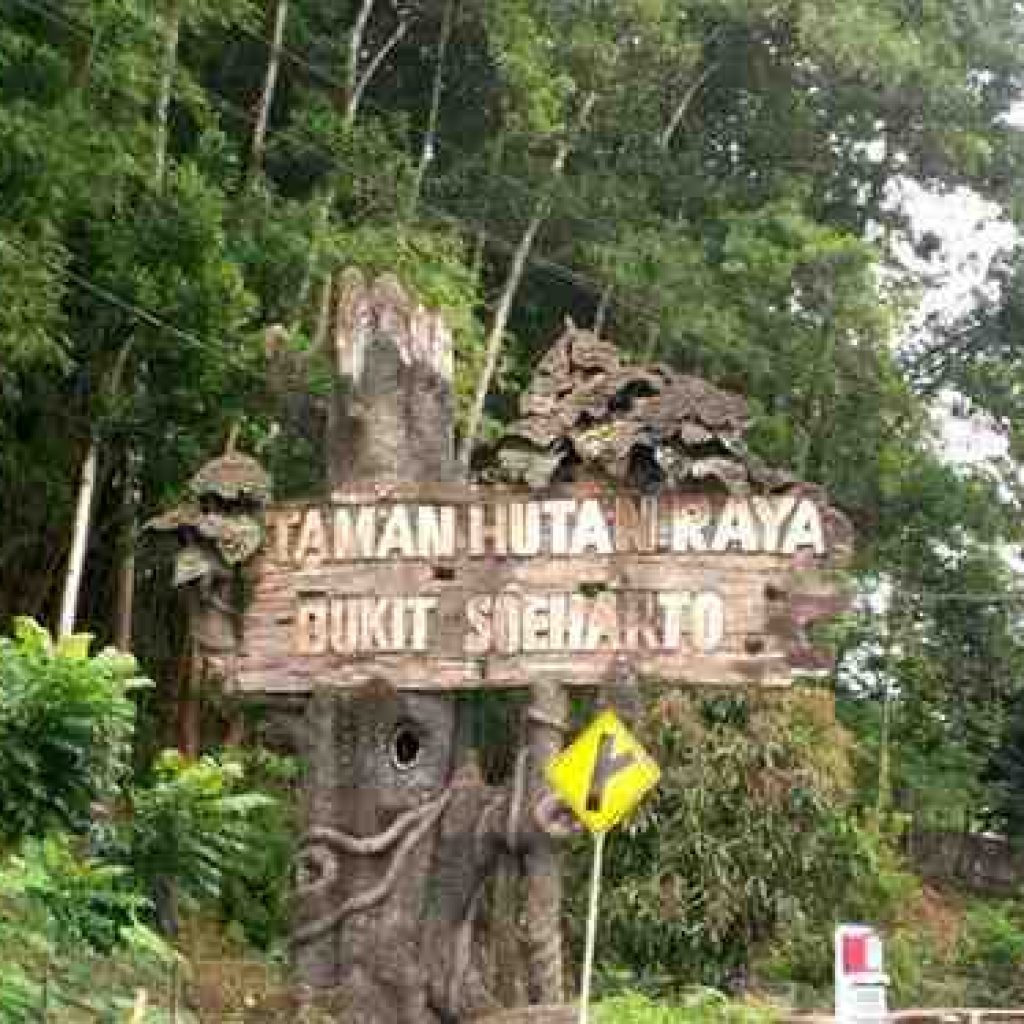 Ibukota Pindah, Pemerintah Jamin Habitat di Taman Hutan Raya Bukit Soeharto Akan Dijaga