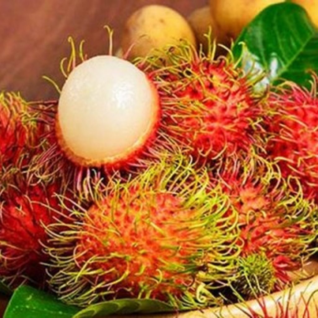 Tak Hanya Terasa Manis, Buah Rambutan Punya 4 Manfaat Utama Bagi Kesehatan