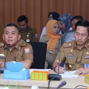 Pemkot Usulkan Fasilitas Tenaga Surya Dapat Dibangun di Palembang
