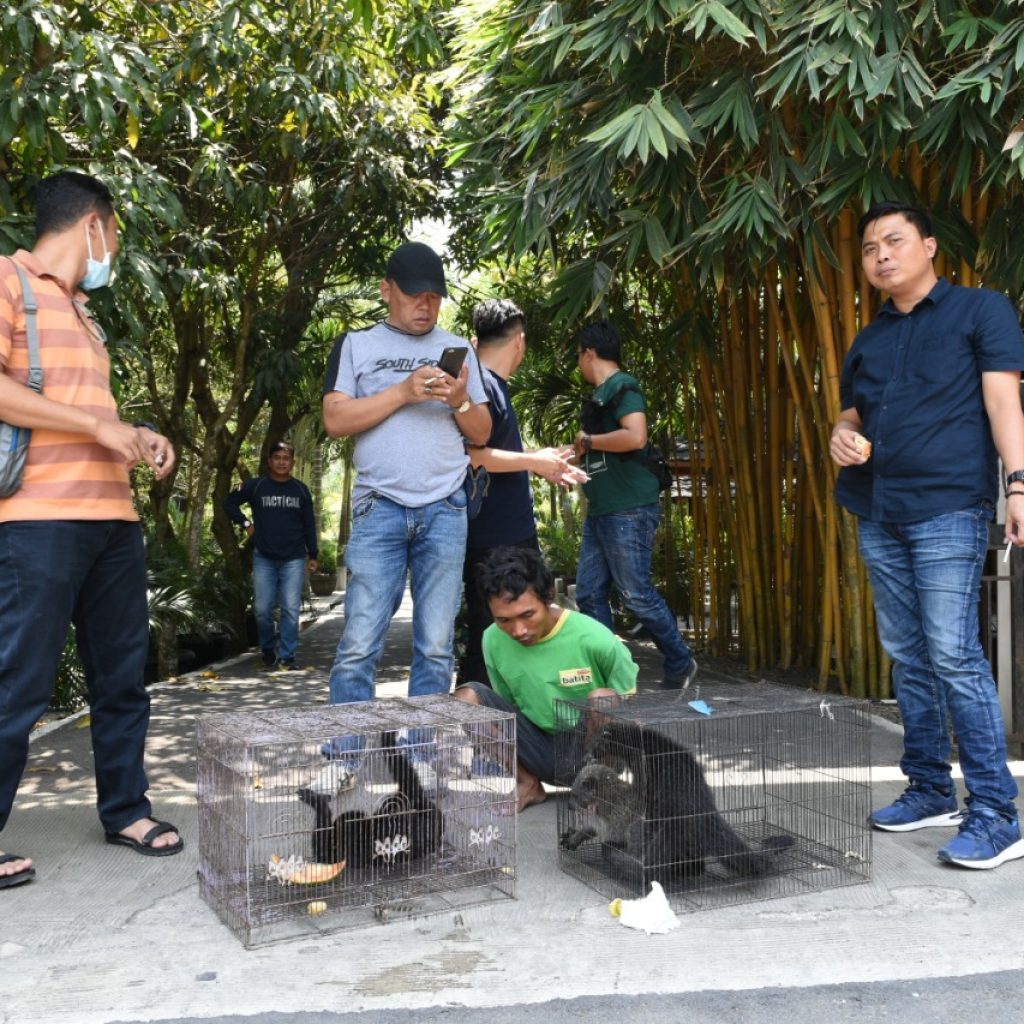 Jual Satwa Langka, Polda Sumsel Ringkus Warga Prabumulih