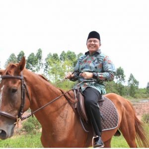 Gubernur Sumsel : Justru Malaysia yang Sumbang Kabut Asap