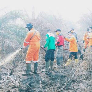 Tata Kelola Salah, Sebabkan Karthula
