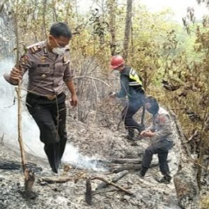 Jauh Dari Sumber Air, Ini Cara Polsek Tanjung Agung Padamkan Api