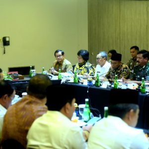 Presiden Jokowi: Jangan Sampai Karhutla di Riau Ganggu Penerbangan
