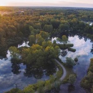 Hutan Amazon Bukan Paru-paru Dunia, Ini Penjelasan Pakar