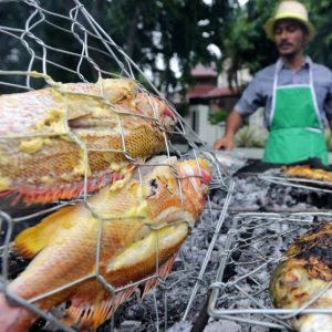 Mana yang Lebih Bergizi: Ikan Laut Atau Air Tawar?