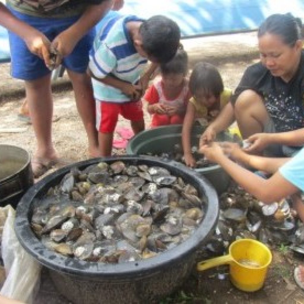Sungai Musi Surut, Warga Sekayu Berburu Remis