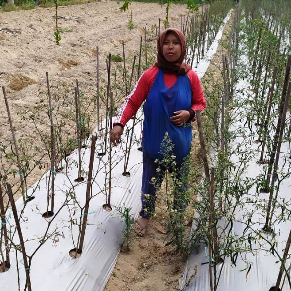 Pengecoran Jalan Jauh Dari Pemukiman Penduduk, Satgas Nyetok Teh