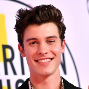 Konser di Indonesia, Shawn Mendes Desain Sendiri Panggungnya