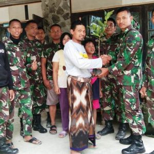 Bibit Buah Sawo Untuk Mengikat Silahturahmi