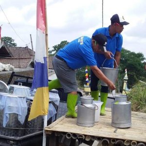 Petugas KUD Semakin leluasa Saat Mengambil Susu ke Rumah-rumah Warga