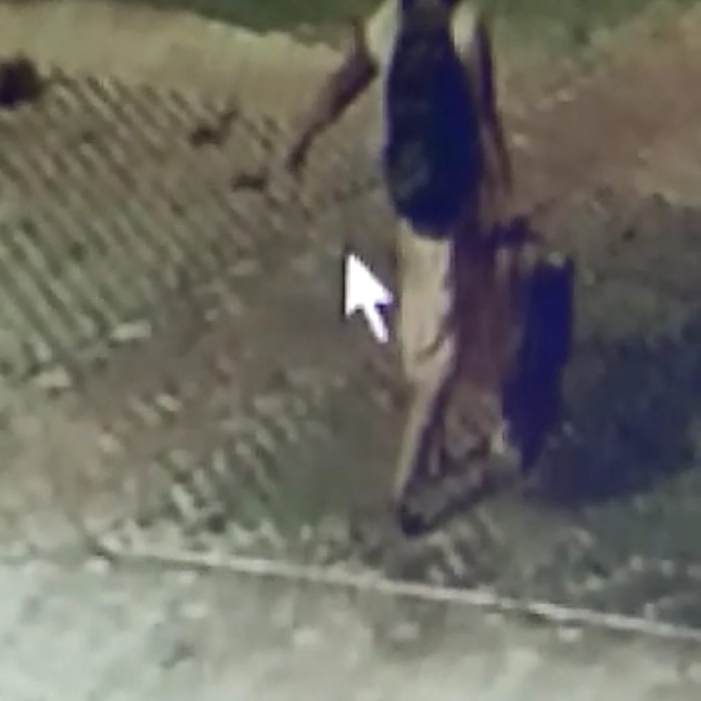 Seorang Ibu Terekam Cctv, Maling Kotak Amal Masjid