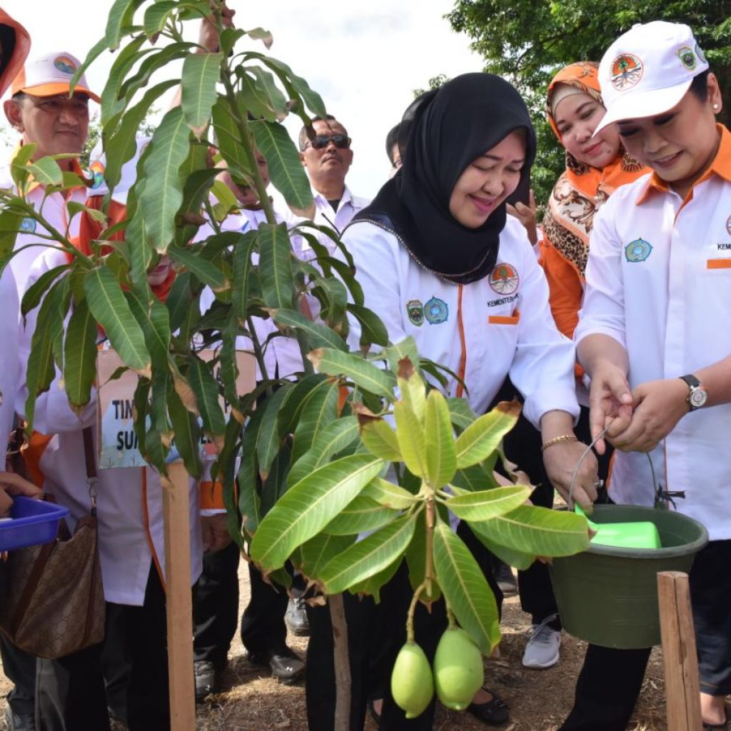 Cegah Erosi DAS, PKK Sumsel dan Organisasi Wanita Tanam 1000 Pohon