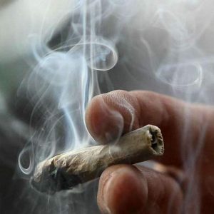 Gunakan Ganja Tingkatkan Risiko Kematian Akibat Komplikasi Hipertensi