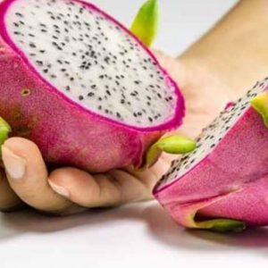 Beberapa Manfaat Buah Naga untuk Wanita Hamil